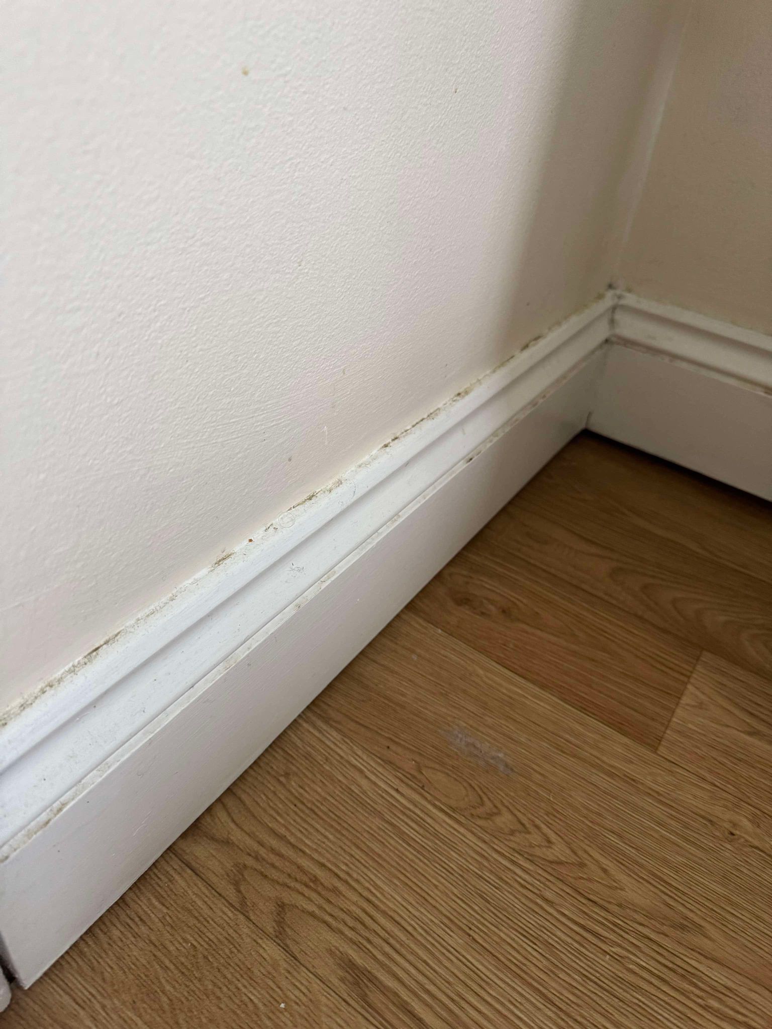 IMG-20250205-WA0022 IMG-20250205-WA0022