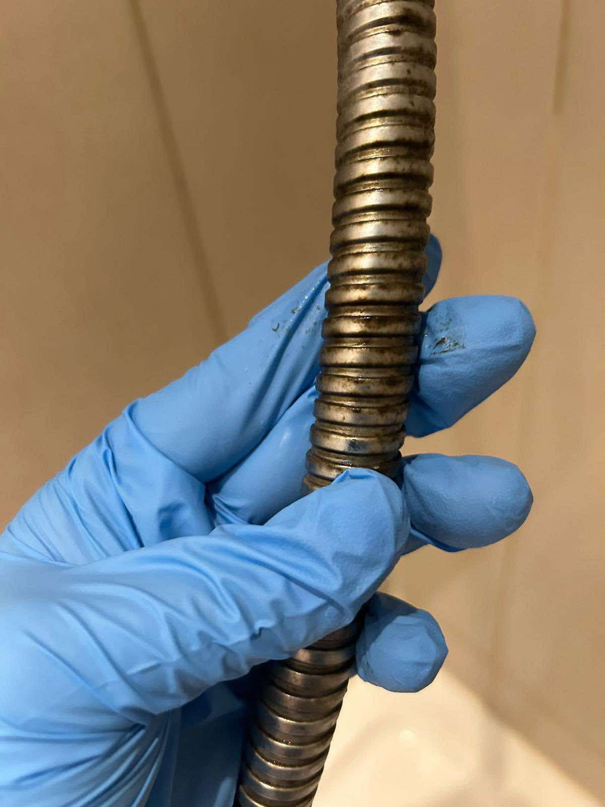 IMG-20250205-WA0034 IMG-20250205-WA0034